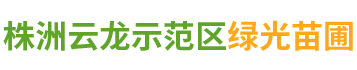 株洲云龙示范区绿光苗圃_造型罗汉松批发_株洲造型五针松_黑松