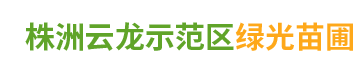 株洲云龙示范区绿光苗圃|造型罗汉松批发_株洲造型五针松种植